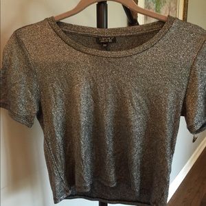 Shimmery Crop Top